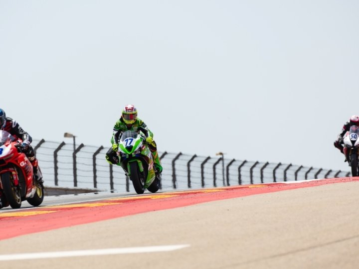 260530Aragon_0633x900.jpg